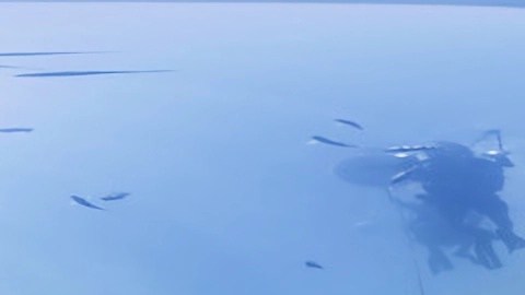 Base subacuática Aquarius en Florida