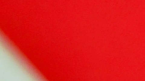 loteria-carolina-del-sur-abuela