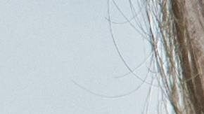 La espada se encontró en la tumba de un hombre, una mujer y un niño. 