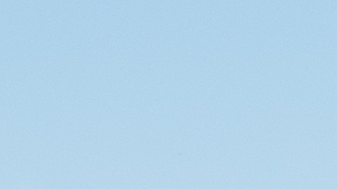 publix-loteria-florida-1-millon