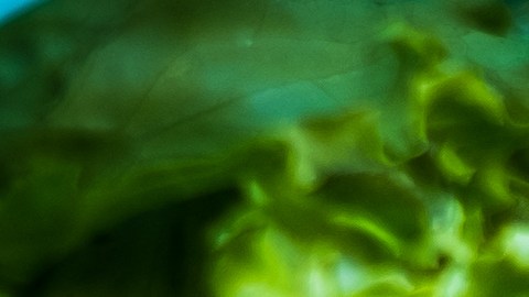 Los vegetales deben ser desinfectados antes de consumirlos