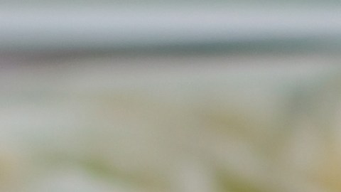 Congelar los alimentos nos da más tiempo para consumirlos.