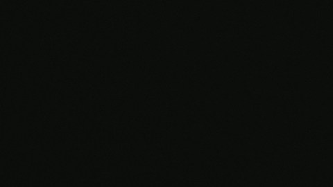 Alimentos procesados