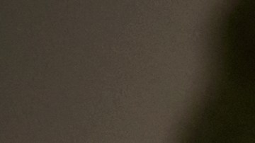 El té verde es una de las bebidas más saludables del mundo