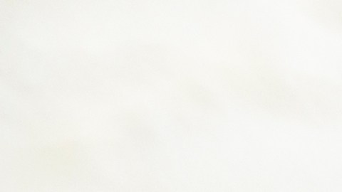Las evidencias científicas sobre los efectos del musgo marino y la pérdida de peso están es estudio