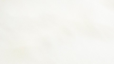 Las evidencias científicas sobre los efectos del musgo marino y la pérdida de peso están es estudio