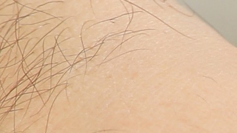 La chía tiene propiedades que ayudan a prevenir enfermedades