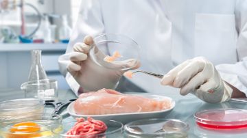 El pollo procesado en laboratorio es un novedoso proceso que implica el cultivo de carne en tanques de acero a raíz de células animales