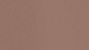 Insectos la comida del futuro