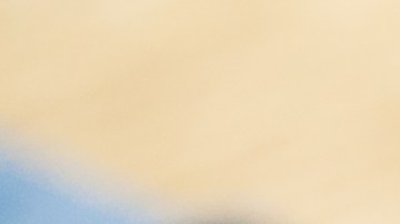 la nueva herramienta con AI de la OMS