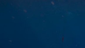 Ocean Gate sumergible Titanic