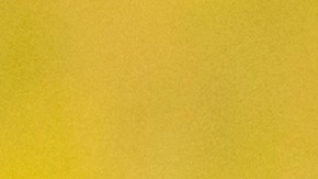 vaca-nelore-subasta-brasil