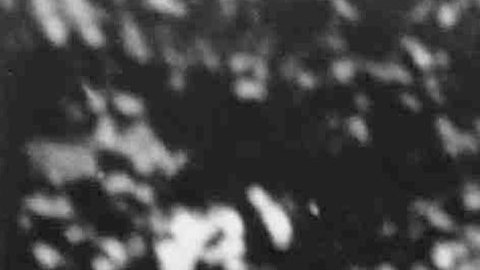 vince-lombardi-sueter-subasta