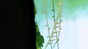 En la imagen Jomari Goyso y Pamela Silva en la premiere de "Koani.