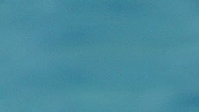 Sami Sheen durante usa sesión fotográfica en Malibu, California