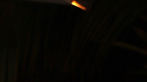 Myrka Dellanos de lunes a viernes demuestra su profesionalismo en Telemundo.