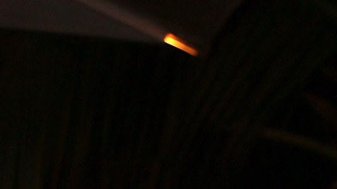 La presentadora Myrka Dellanos regresó de unas breves vacaciones.