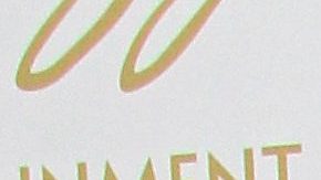 La actriz y cantante Lis Vega.