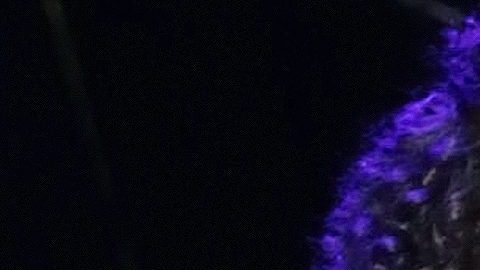 Lucerito Mijares.