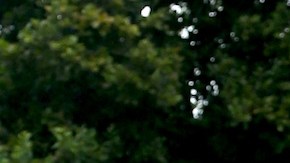 La modelo profesional Dayanara Torres viajó a Puerto Rico.