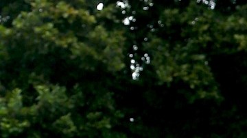 La modelo profesional Dayanara Torres viajó a Puerto Rico.