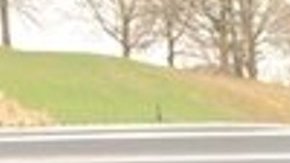 Miguel Ángel Genao.