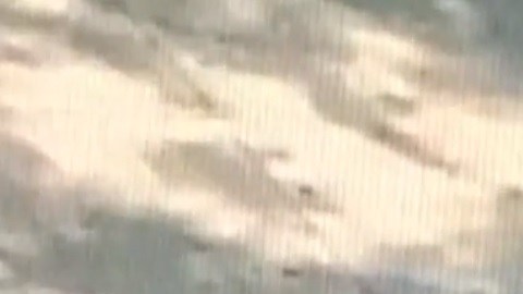 Sospechoso atrapado por NYPD.