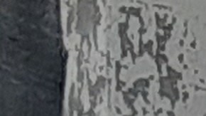 Riverside Park, Upper West Side, Nueva York.