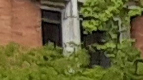 Taxi en zona marcada por NYPD/Archivo.