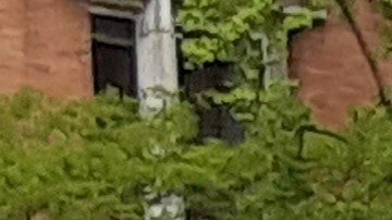 Taxi en zona marcada por NYPD/Archivo.