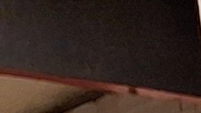 El artista colombiano Alejo Portela fue confirmado por la agencia de transporte estatal para exponer su propuesta vallenatera