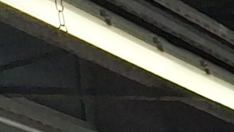 El dominicano Juan Almanza confiesa que le da mucho temor usar el Subway: !Ahora está más caro!