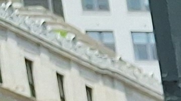 El dominicano Julio Feliz, criado en El Bronx, fue uno de los que celebró con su familia su juramentación