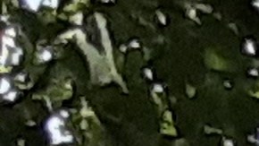 Agua, árboles y sombra ayudan a bajar el calor en Riverside Park.