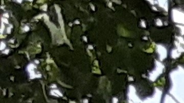 Agua, árboles y sombra ayudan a bajar el calor en Riverside Park.