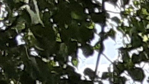 Agua, árboles y sombra ayudan a bajar el calor en Riverside Park.