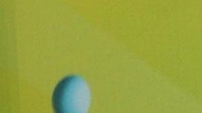 Fernando del Solar murió el 30 de junio de 2022.