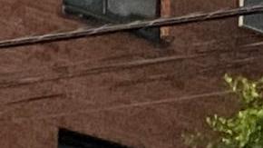 Las ráfagas de viento sacaron de sus raíces a los árboles y también tiraron postes eléctricos.