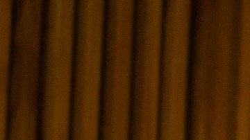 Esta veterana de NYPD tiene una amplia experiencia en labores de prevención y detección de amenazas de ataques contra los neoyorquinos