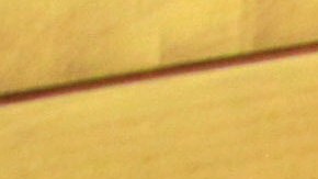 El hijo del cantante Camilo Sesto sigue teniendo comportamientos que preocupan.