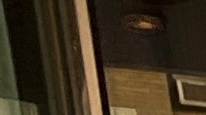 Migrantes adultos en refugios y hoteles de NYC tendrán 60 días para buscar vivienda