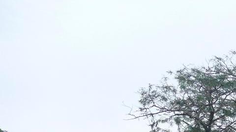Varios misiles rusos alcanzan la ciudad de Odesa, en el sur de Ucrania