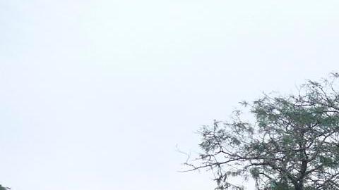 Varios misiles rusos alcanzan la ciudad de Odesa, en el sur de Ucrania