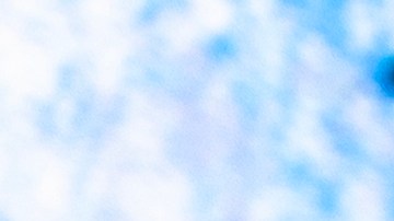 Nuevo logo de Twitter