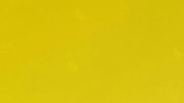 Amazon Prime Day 2023