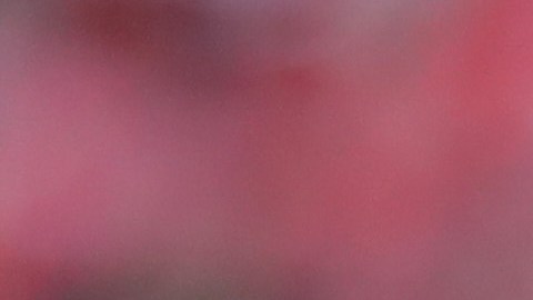 Problemas para Carlo Ancelotti: El técnico del Real Madrid "será juzgado por delito fiscal"