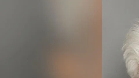 Zandstra fue arrestado en Georgia y está encarcelado en la prisión del condado de Cobb sin derecho a fianza.