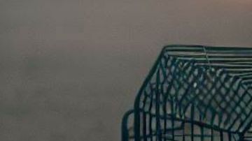 Dos niños fueron encontrados en una jaula para perros.