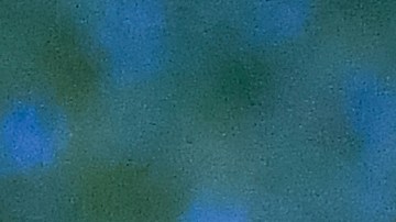 Edinson Cavani ilusiona en su llegada a Boca Juniors: "Te puedo jugar de central, lateral, volante o donde me necesiten" [Video]