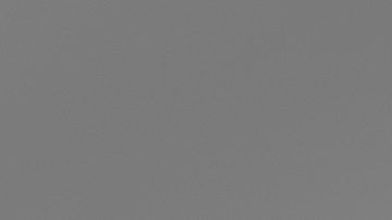 Vegano vs carnívoro